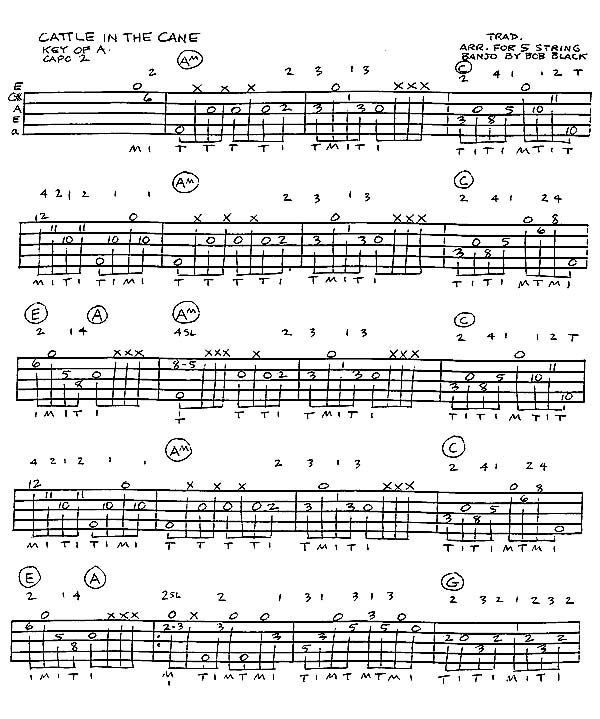 Free Blank Banjo Tab Paper Pdf