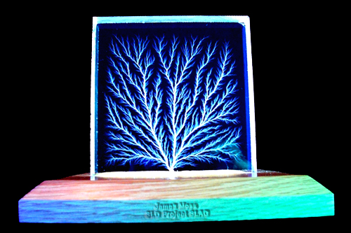 "Tree of Fire" Lichtenberg figures. Beam trees are highly prized at SLAC and often given as awards.